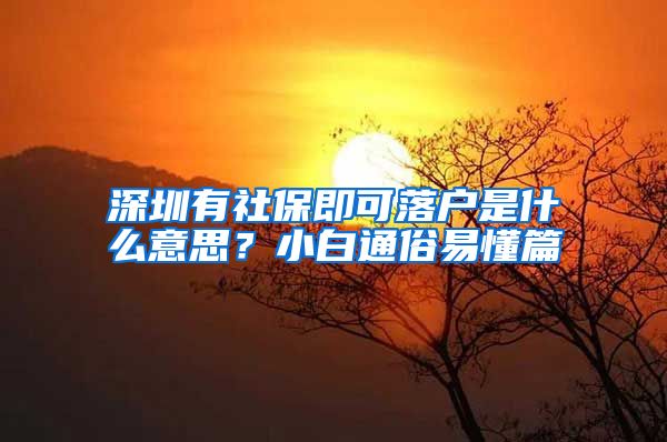 深圳有社保即可落户是什么意思？小白通俗易懂篇