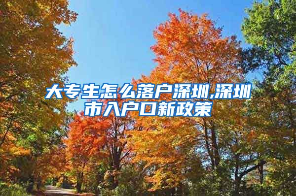 大专生怎么落户深圳,深圳市入户口新政策