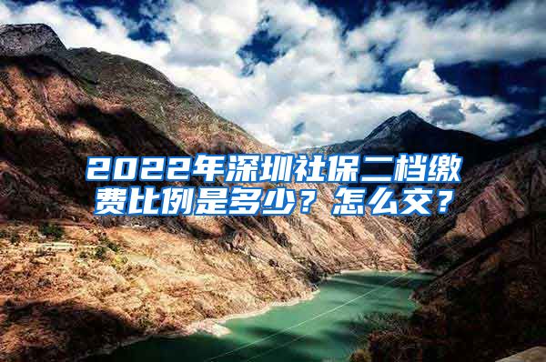 2022年深圳社保二档缴费比例是多少？怎么交？