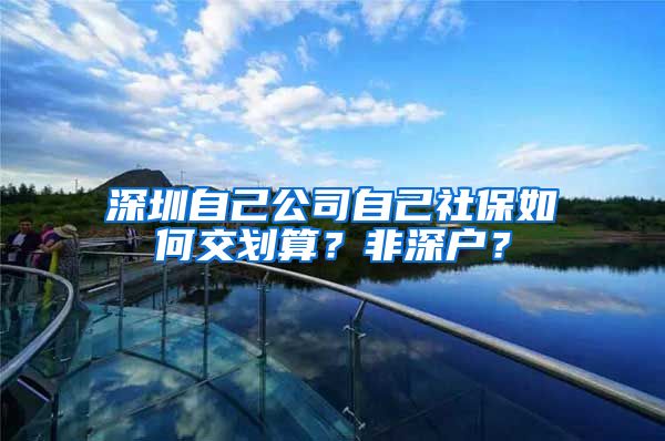 深圳自己公司自己社保如何交划算？非深户？