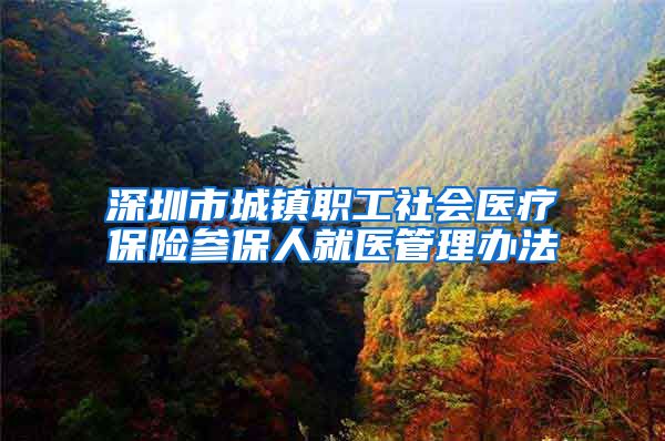 深圳市城镇职工社会医疗保险参保人就医管理办法