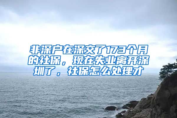 非深户在深交了173个月的社保，现在失业离开深圳了，社保怎么处理才