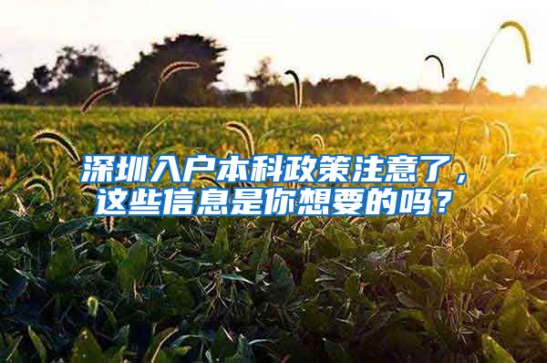 深圳入户本科政策注意了，这些信息是你想要的吗？