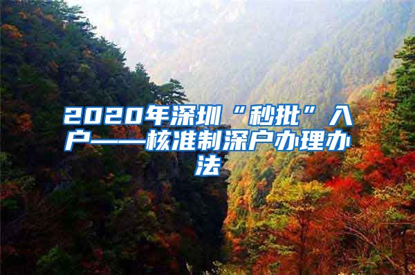 2020年深圳“秒批”入户——核准制深户办理办法