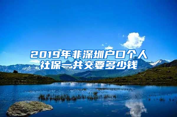 2019年非深圳户口个人社保一共交要多少钱