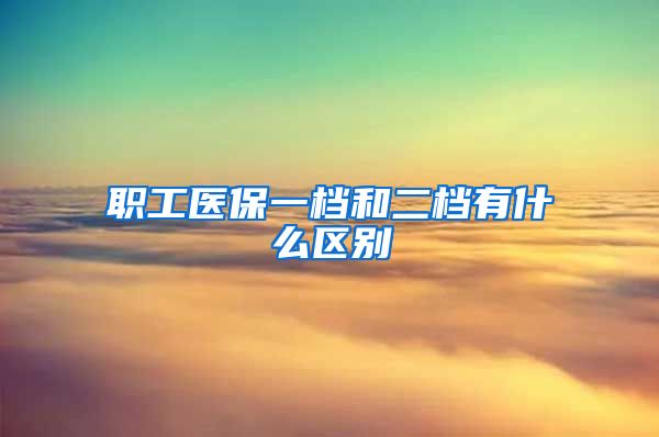 职工医保一档和二档有什么区别