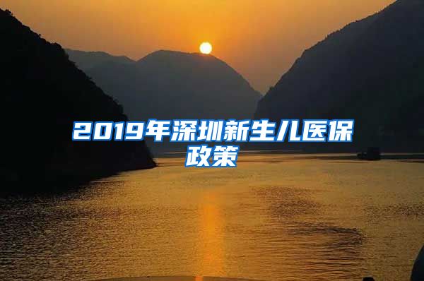 2019年深圳新生儿医保政策