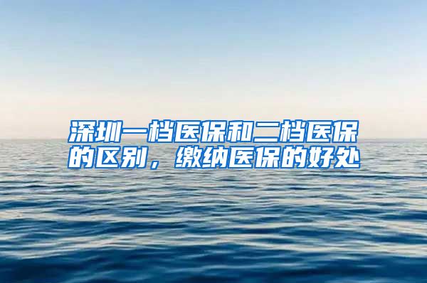 深圳一档医保和二档医保的区别，缴纳医保的好处