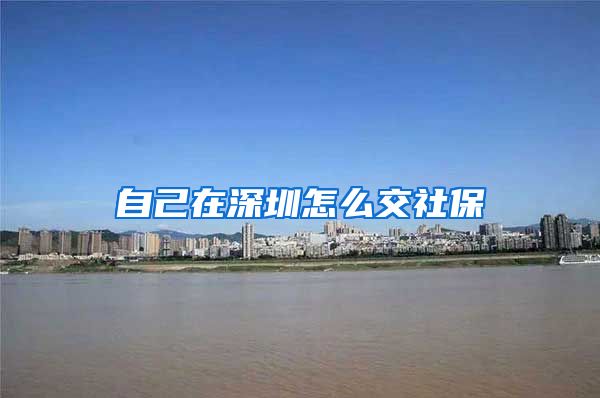 自己在深圳怎么交社保