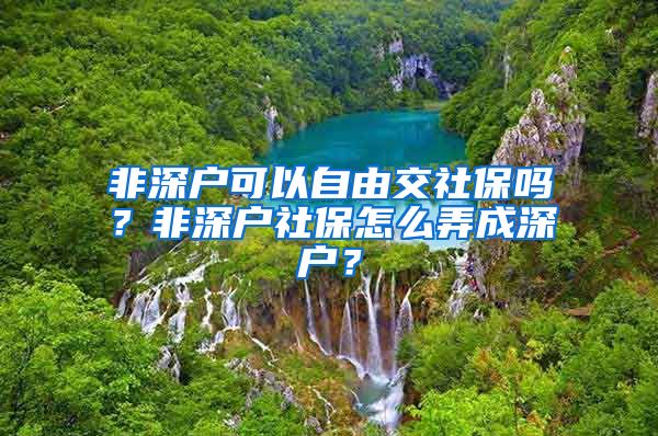 非深户可以自由交社保吗？非深户社保怎么弄成深户？