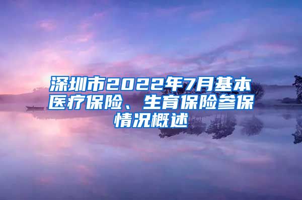 深圳市2022年7月基本医疗保险、生育保险参保情况概述