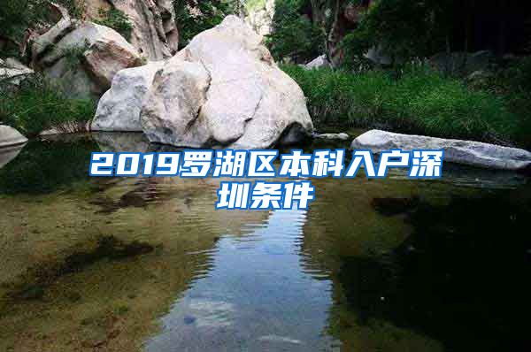 2019罗湖区本科入户深圳条件