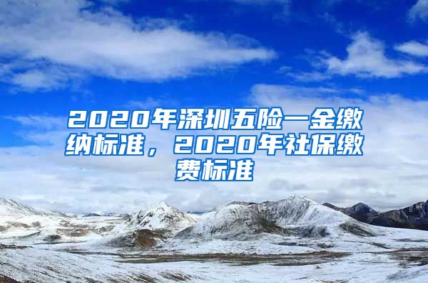 2020年深圳五险一金缴纳标准，2020年社保缴费标准