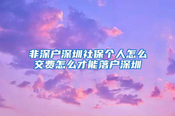 非深户深圳社保个人怎么交费怎么才能落户深圳