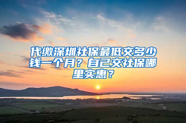 代缴深圳社保最低交多少钱一个月？自己交社保哪里实惠？