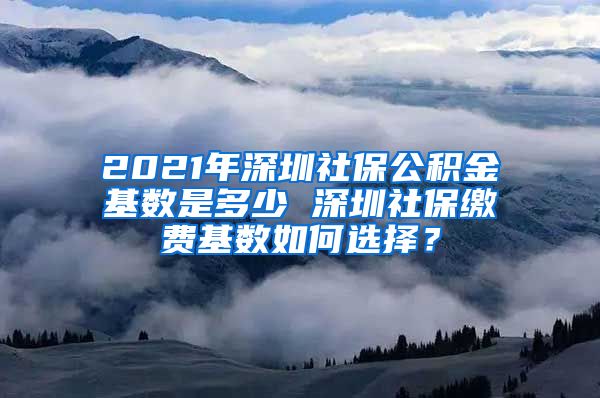 2021年深圳社保公积金基数是多少 深圳社保缴费基数如何选择？