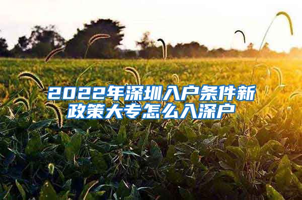 2022年深圳入户条件新政策大专怎么入深户