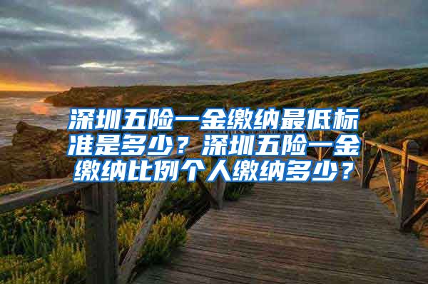 深圳五险一金缴纳最低标准是多少？深圳五险一金缴纳比例个人缴纳多少？