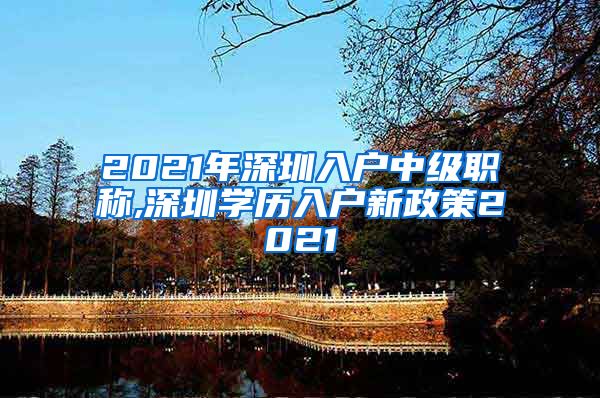 2021年深圳入户中级职称,深圳学历入户新政策2021