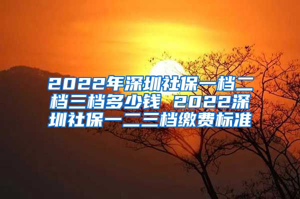 2022年深圳社保一档二档三档多少钱 2022深圳社保一二三档缴费标准