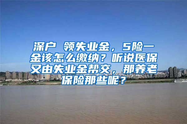 深户 领失业金，5险一金该怎么缴纳？听说医保又由失业金帮交，那养老保险那些呢？