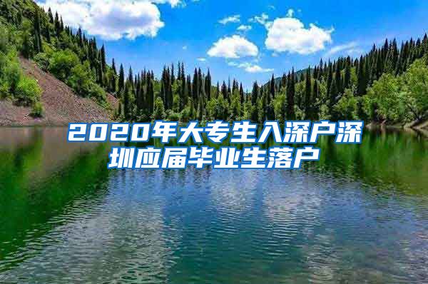 2020年大专生入深户深圳应届毕业生落户