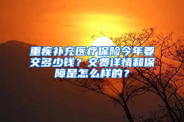 重疾补充医疗保险今年要交多少钱？交费详情和保障是怎么样的？