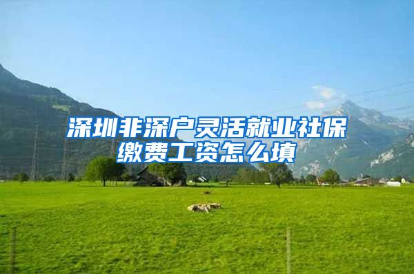 深圳非深户灵活就业社保缴费工资怎么填