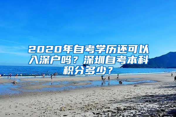 2020年自考学历还可以入深户吗？深圳自考本科积分多少？