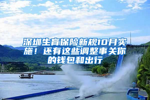 深圳生育保险新规10月实施！还有这些调整事关你的钱包和出行