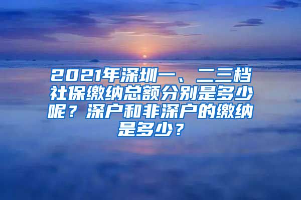 2021年深圳一、二三档社保缴纳总额分别是多少呢？深户和非深户的缴纳是多少？