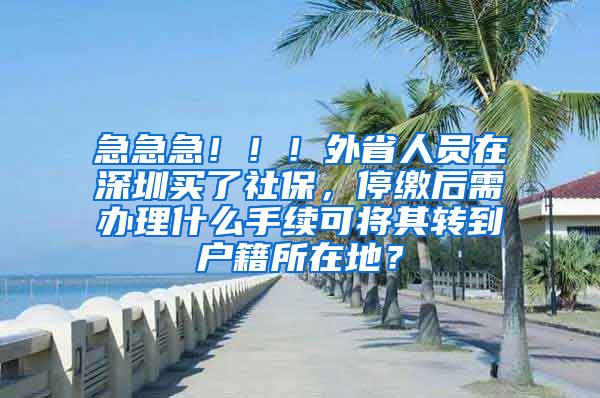 急急急！！！外省人员在深圳买了社保，停缴后需办理什么手续可将其转到户籍所在地？