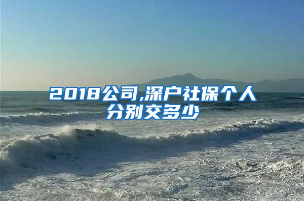 2018公司,深户社保个人分别交多少