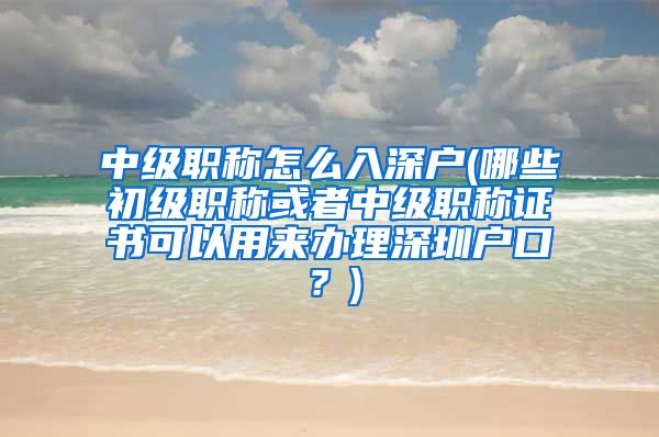 中级职称怎么入深户(哪些初级职称或者中级职称证书可以用来办理深圳户口？)