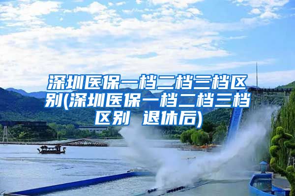 深圳医保一档二档三档区别(深圳医保一档二档三档区别 退休后)