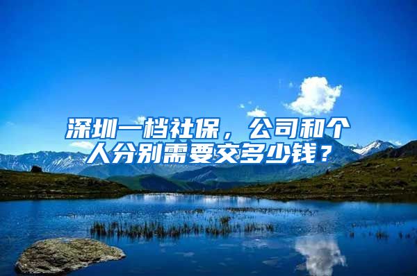 深圳一档社保，公司和个人分别需要交多少钱？