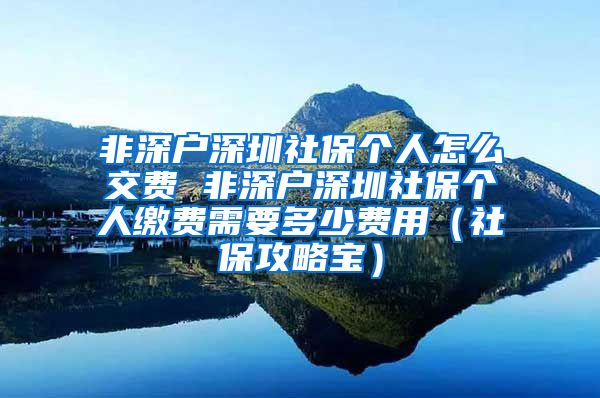 非深户深圳社保个人怎么交费 非深户深圳社保个人缴费需要多少费用（社保攻略宝）