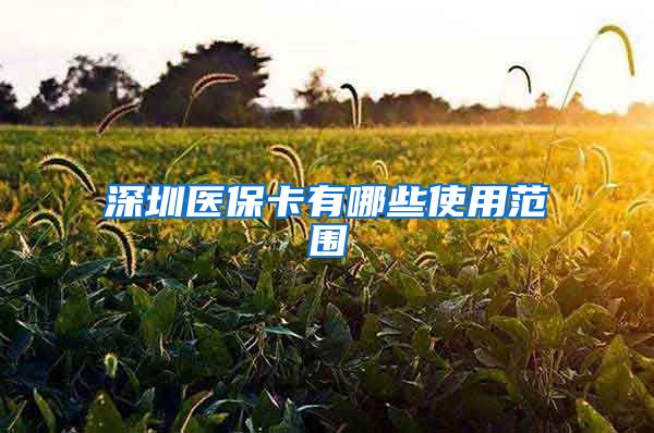 深圳医保卡有哪些使用范围