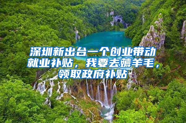 深圳新出台一个创业带动就业补贴，我要去薅羊毛，领取政府补贴