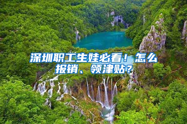 深圳职工生娃必看！怎么报销、领津贴？