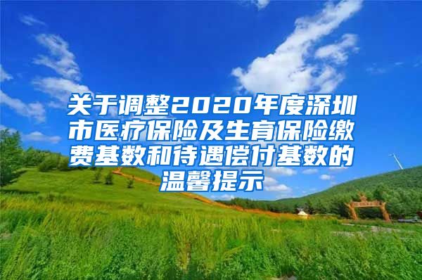 关于调整2020年度深圳市医疗保险及生育保险缴费基数和待遇偿付基数的温馨提示