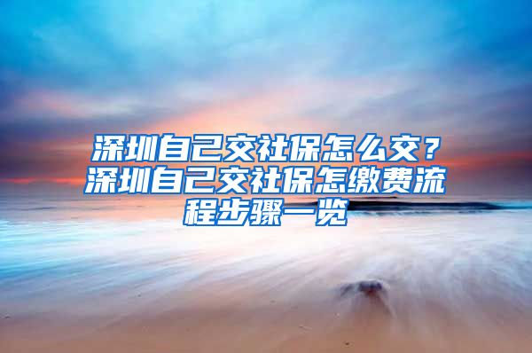 深圳自己交社保怎么交？深圳自己交社保怎缴费流程步骤一览