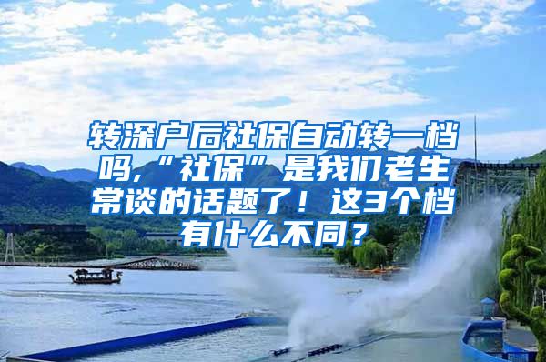 转深户后社保自动转一档吗,“社保”是我们老生常谈的话题了！这3个档有什么不同？