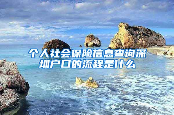 个人社会保险信息查询深圳户口的流程是什么