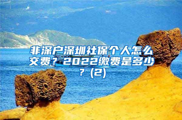 非深户深圳社保个人怎么交费？2022缴费是多少？(2)