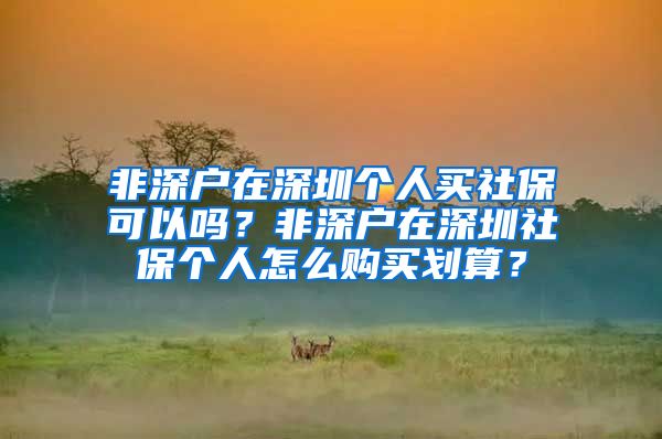 非深户在深圳个人买社保可以吗？非深户在深圳社保个人怎么购买划算？