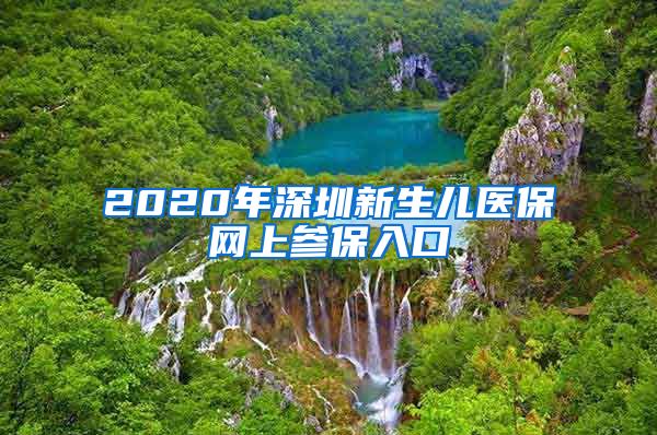 2020年深圳新生儿医保网上参保入口