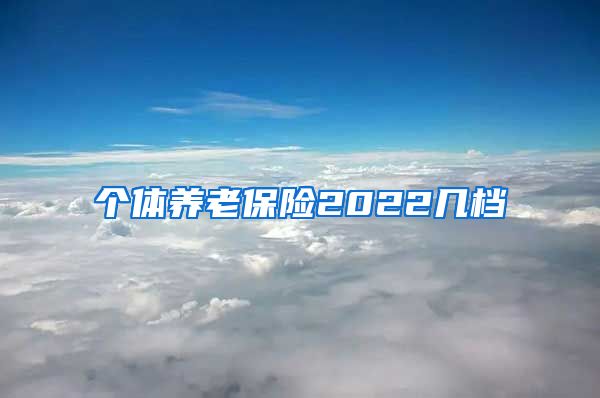 个体养老保险2022几档