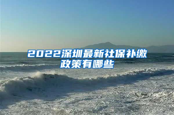 2022深圳最新社保补缴政策有哪些