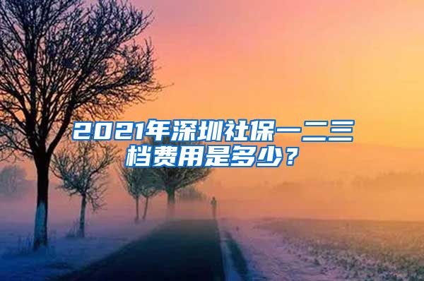 2021年深圳社保一二三档费用是多少？